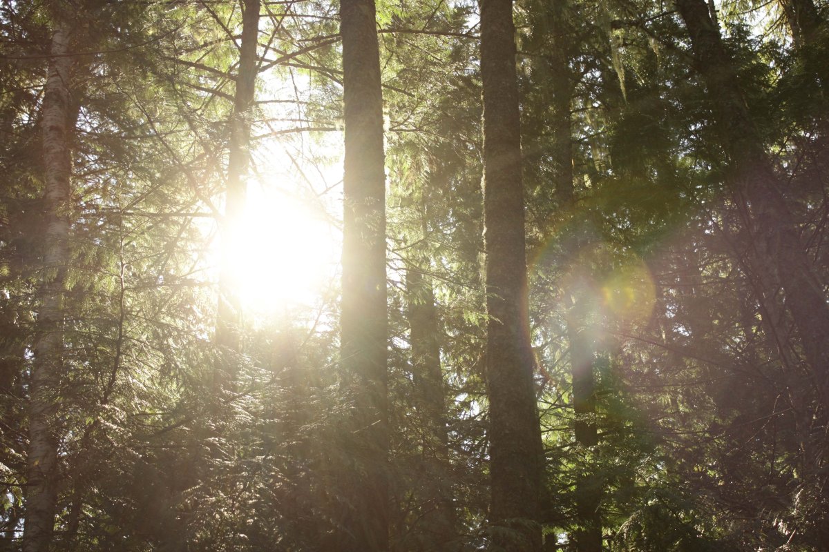 Фото: pexels.com