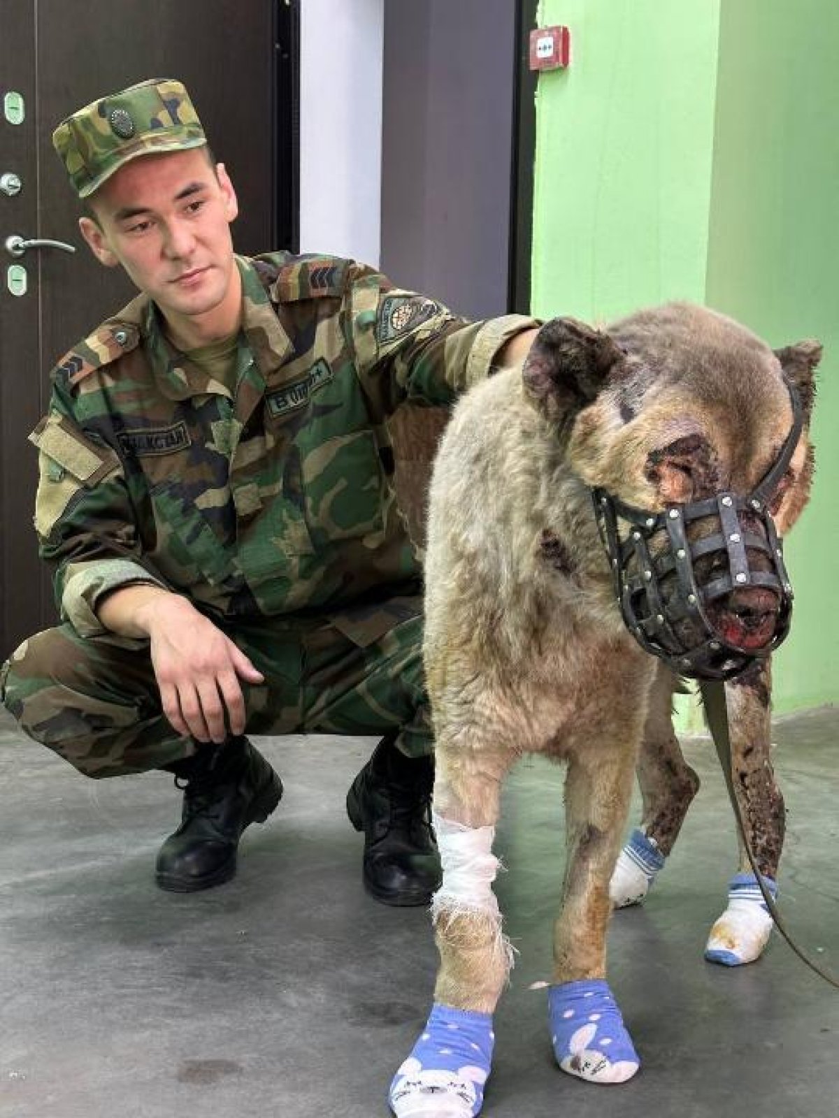 Фото пресс-службы ДЧС по Астане