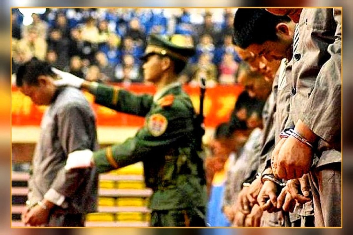 Фото с телеграм-канала "Вся Корея"