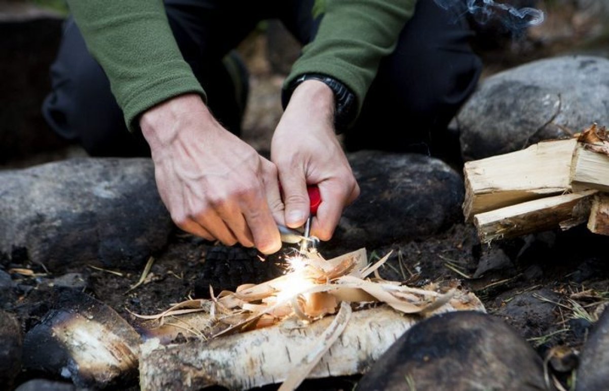 Фото с сайта novate.ru