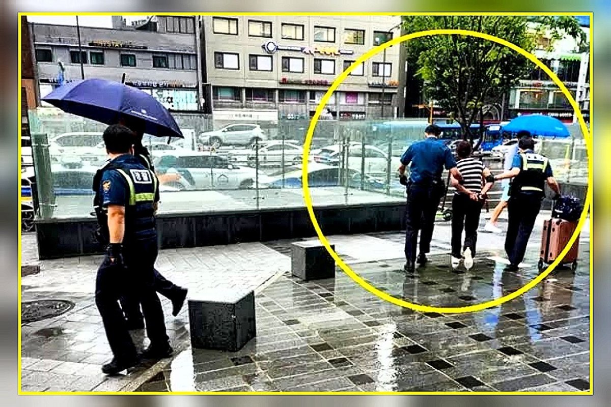 Фото с сайта insight.co.kr