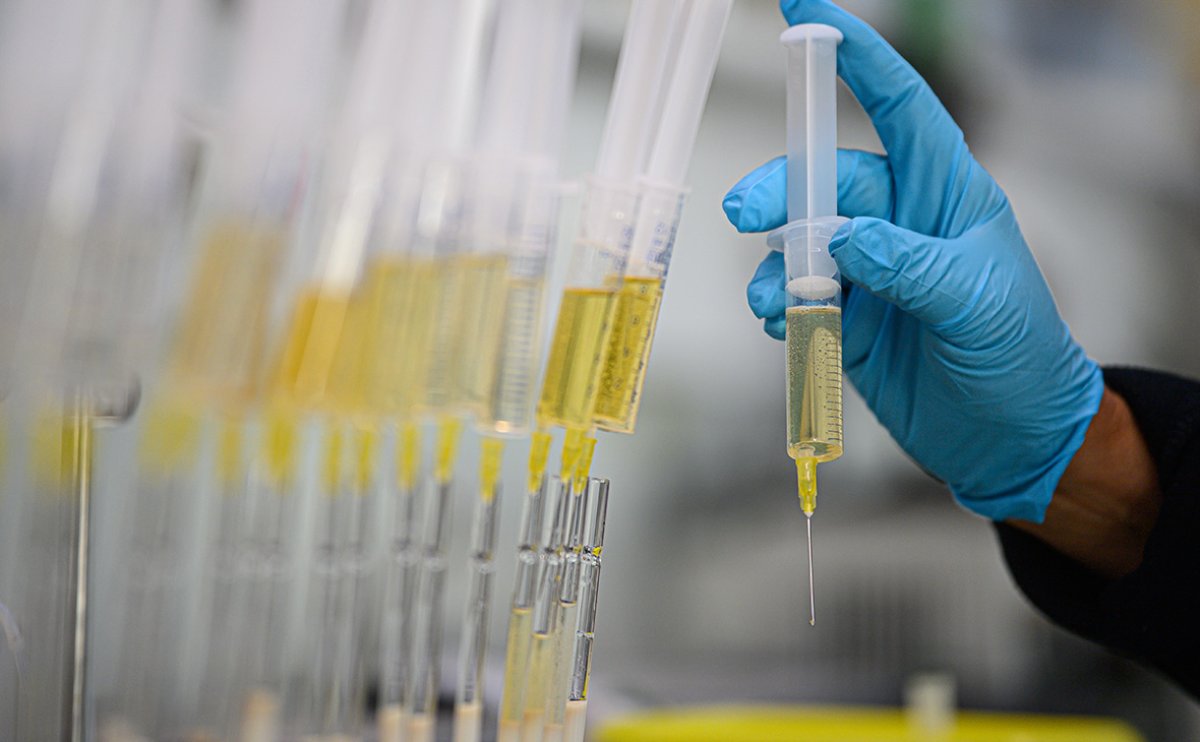 Фото: pexels.com