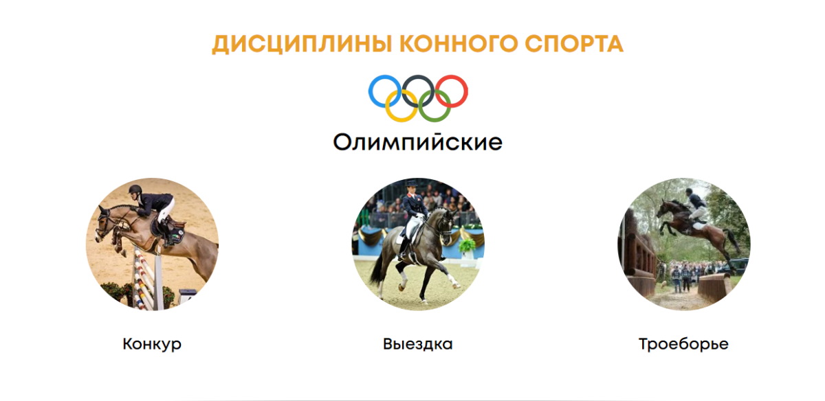 Фото: kazequestrian.kz