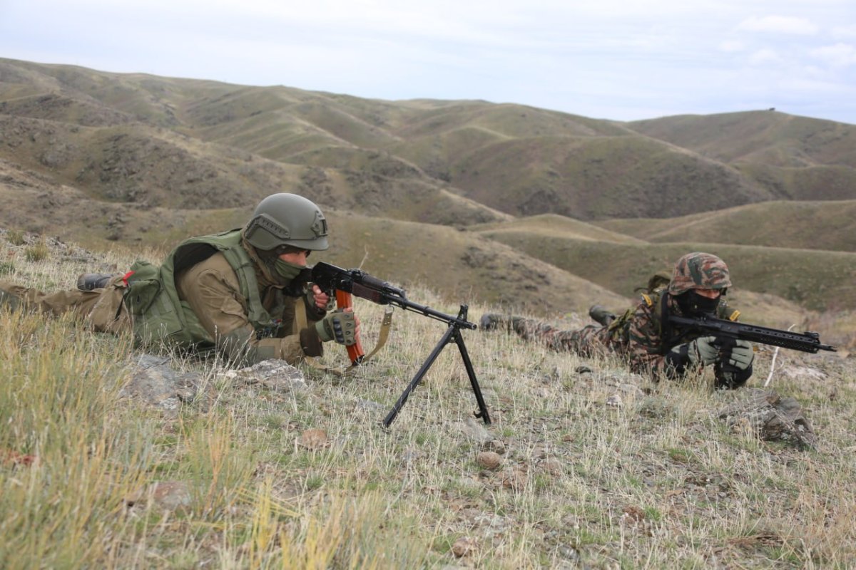 Фото: Владимир Мартыненко
