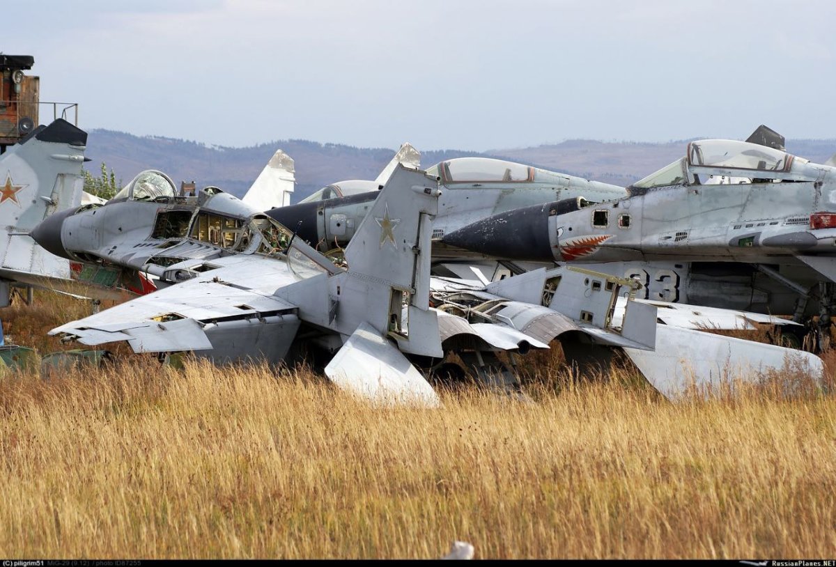 Фото из открытых источников