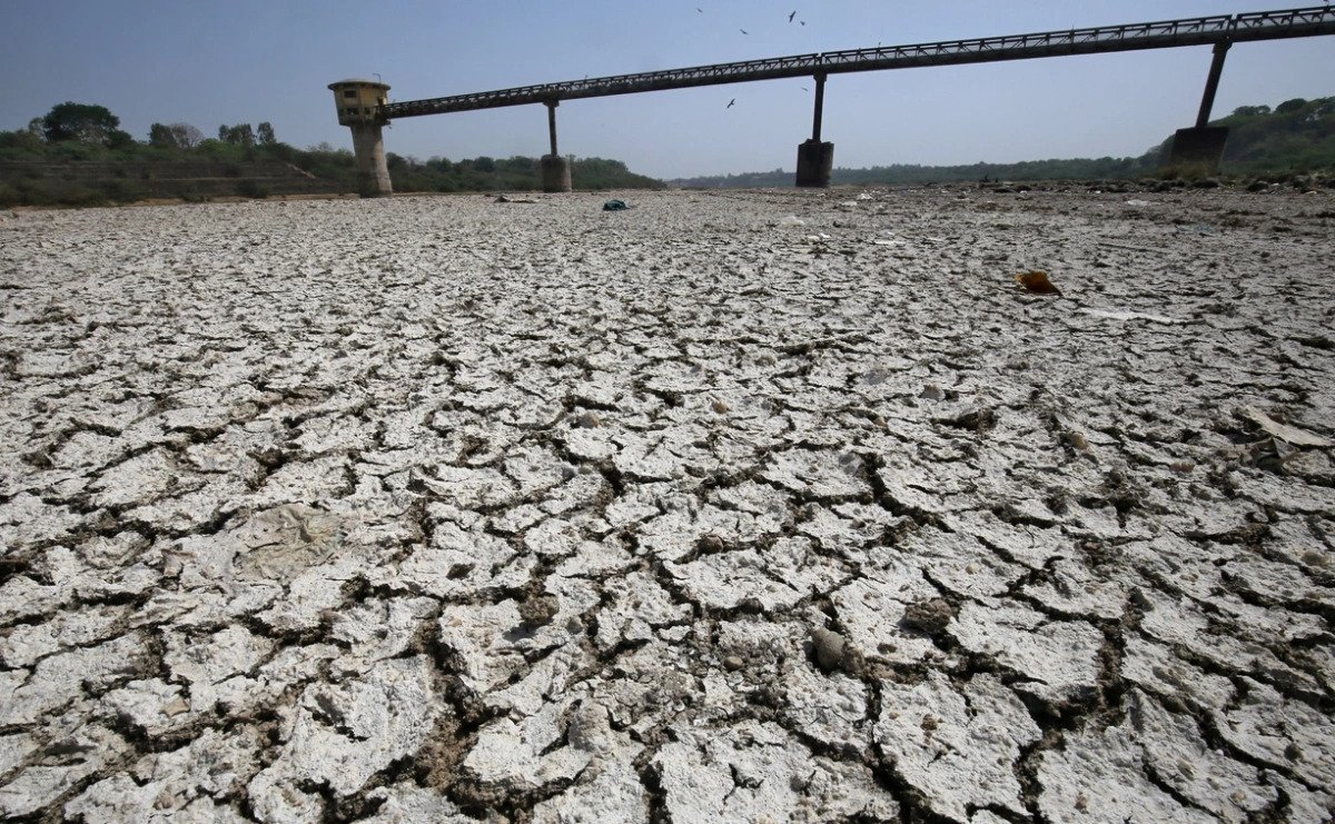 Фото: Amit Dave / Reuters