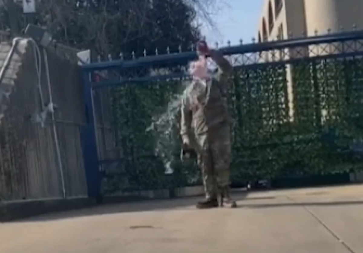 Фото: скрин видео