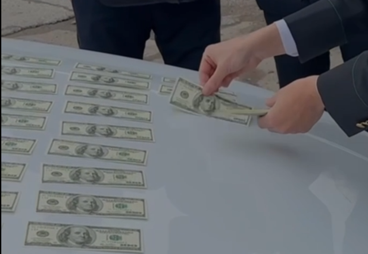 Фото: скрин видео