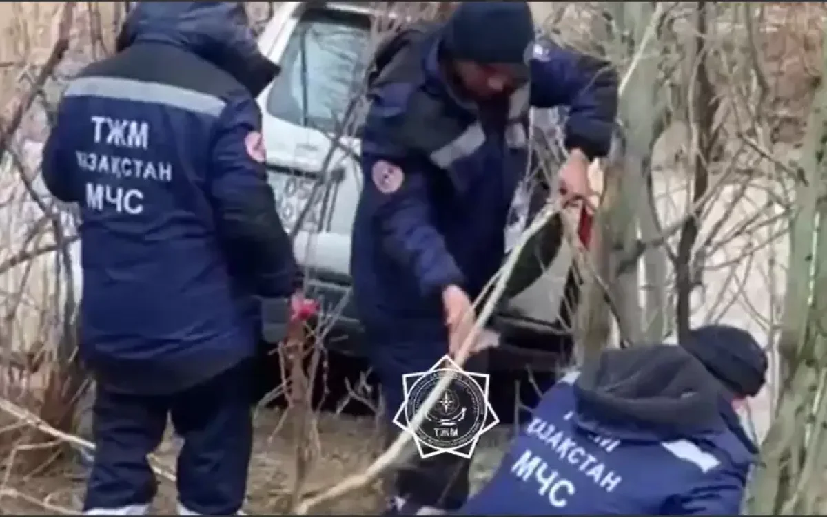 Фото: МЧС РК