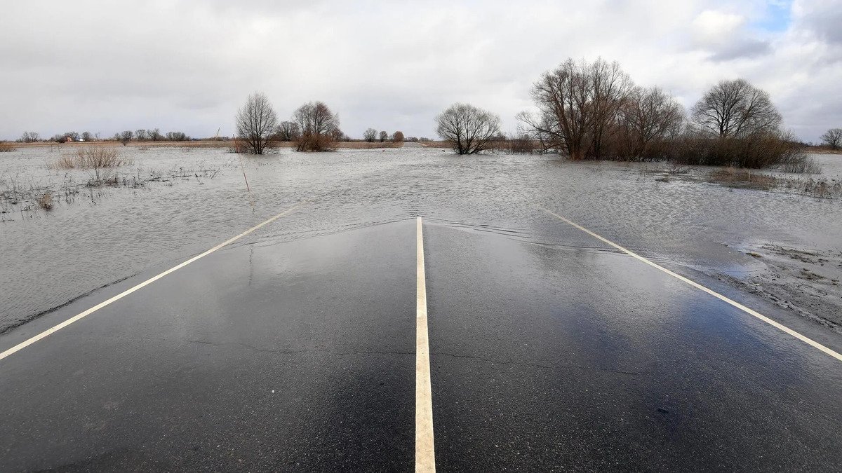 Фото: РИА/Михаил Воскресенский