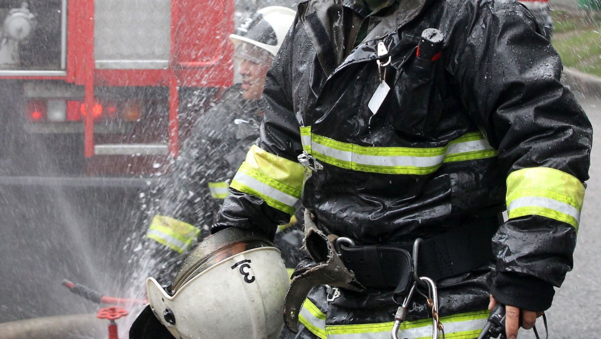 Фото: ru.sputnik.kg