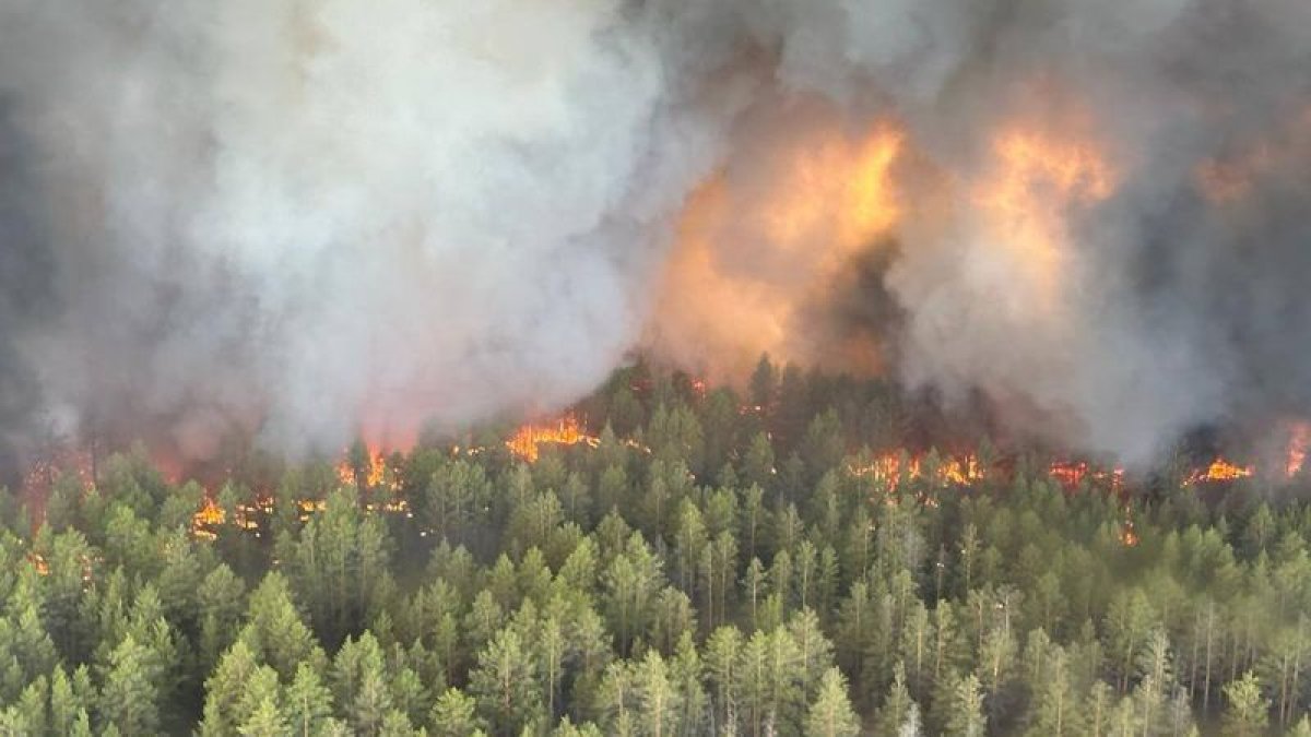 Фото: Акимат Абайской области