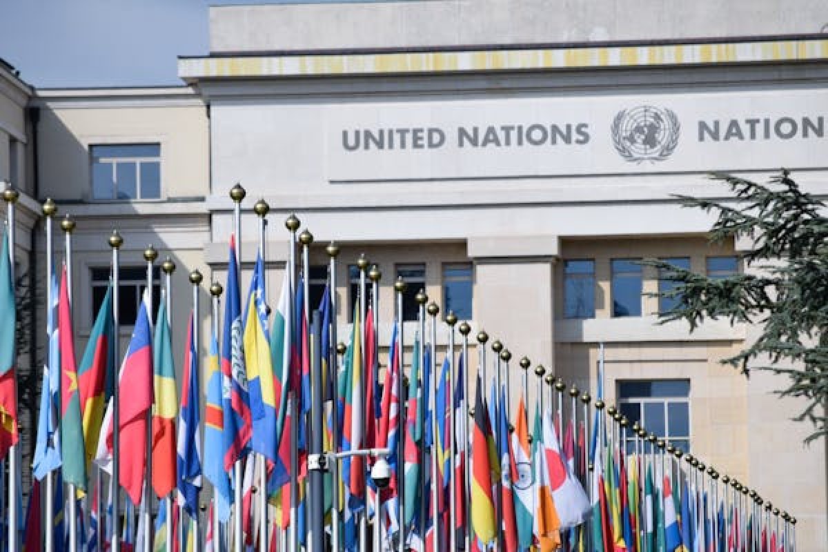 Фото: pexels.com