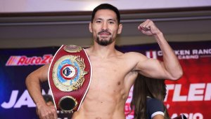 Боксер Жанибек Алимханулы досрочно победил Винченцо Гуальтьери и завоевал два титула