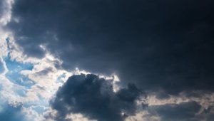 Синоптики обещают казахстанцам теплую зиму