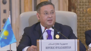 МИД РК: Казахстан призывает к немедленному прекращению боевых действий в секторе Газа