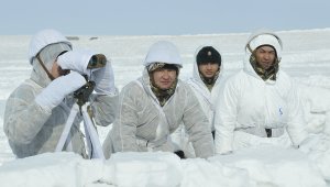 Военное искусство: тактика ведения боя в зимних условиях