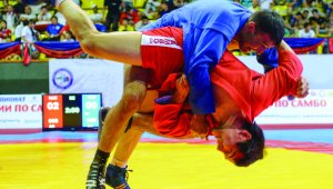 Боевое самбо: бой без оружия