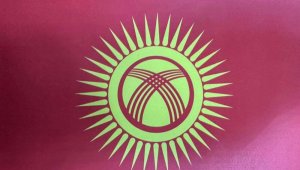 Жители Кыргызстана проводят в Бишкеке акцию против изменения флага страны