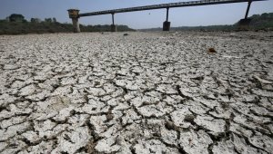 Наступивший год может стать самым «жарким» в истории