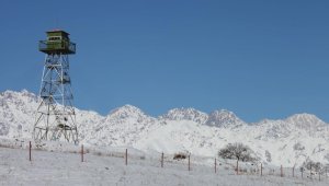 Оружие, наркотики, рыба: что перевозят через границу Казахстана правонарушители?