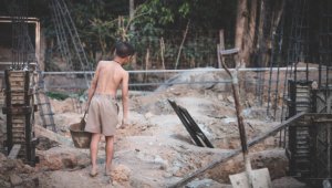 В Улытау троих детей вызволили из трудового рабства