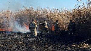 На побережье Каспийского моря вторые сутки тушат пожар
