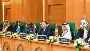 Страны Организации исламского сотрудничества призвали к немедленному прекращению огня в секторе Газа