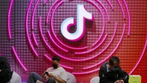 Обзор статьи: Должны ли правительства запретить TikTok? Возможно ли это?