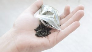 «Сухой закон» Токаева: перестанут ли казахстанцы использовать насвай?