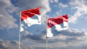 Сингапур и Индонезия заключили оборонительный пакт