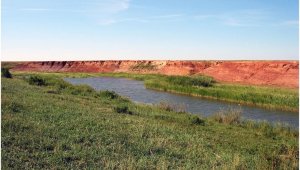 Экологическая катастрофа: талая вода может смешаться с нефтью и попасть в реку Сарысу