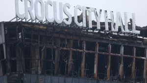 Теракт в «Крокусе»: в больницах остаются 83 пострадавших