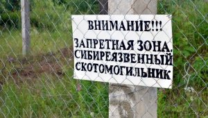 14 захоронений с сибирской язвой вскрылись в ЗКО из-за паводков