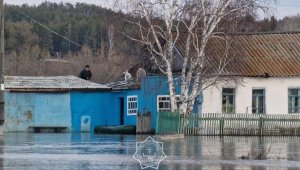 Комплексы Starlink направили в регионы ЧС для обеспечения Интернетом