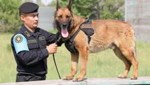 В Казахстане военная полиция отмечает профессиональный праздник