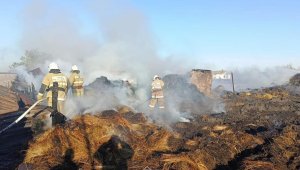 5 тонн сена и две хозпостройки горели в Костанайской области