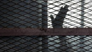 «Печальный рекорд»: число смертных казней в 2023 году достигло максимума за 10 лет