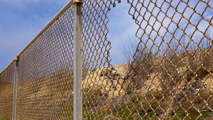 Граждан, нелегально въехавших в США из Мексики, будут депортировать