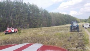 Очередной пожар произошел на территории «Семей орманы»