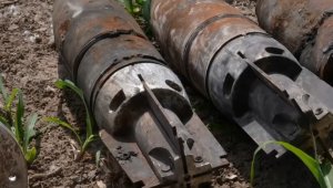 Страны Балтии и Польша выходят из Оттавской конвенции