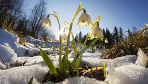 Какой будет весна в Казахстане?